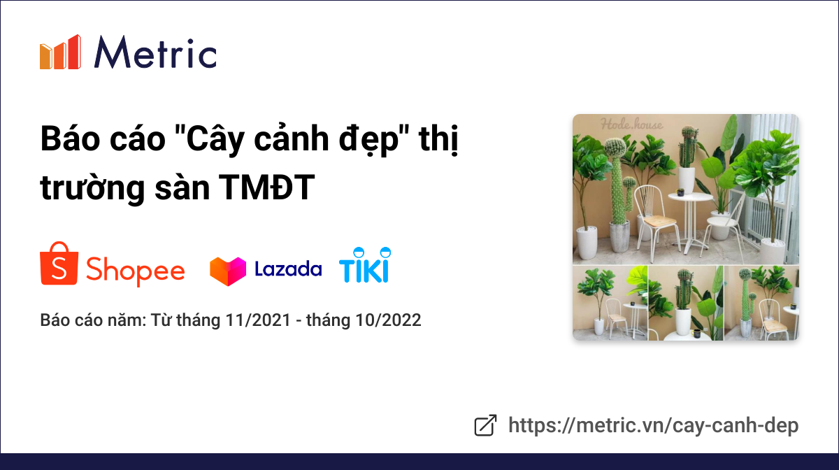 kệ sắt trang trí cây cảnh