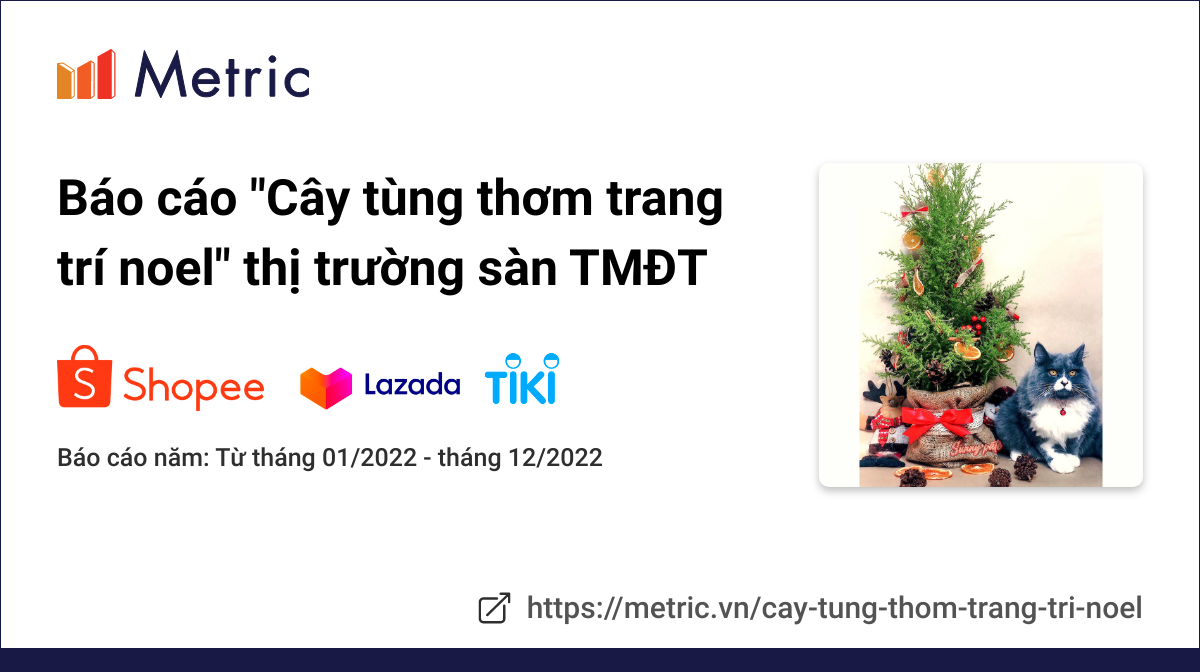 cây tùng thơm trang trí Noel